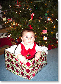 Michael Sheehan, 2007 Xmas