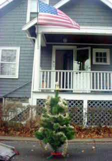 Christmas tree on Verdun Street